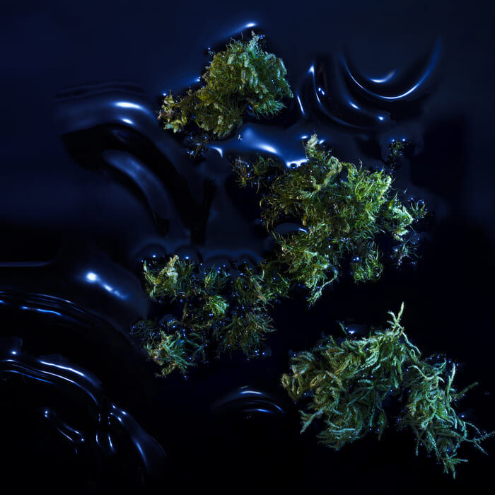 Ingredient Image