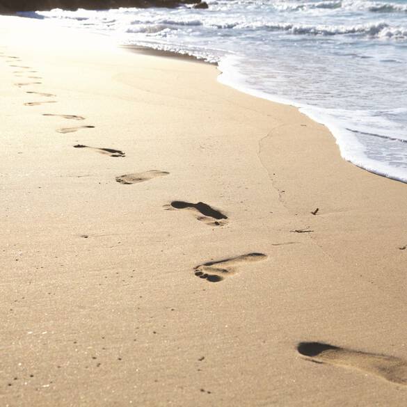 Product Content 1 image