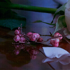 PINK PEPPER CO2