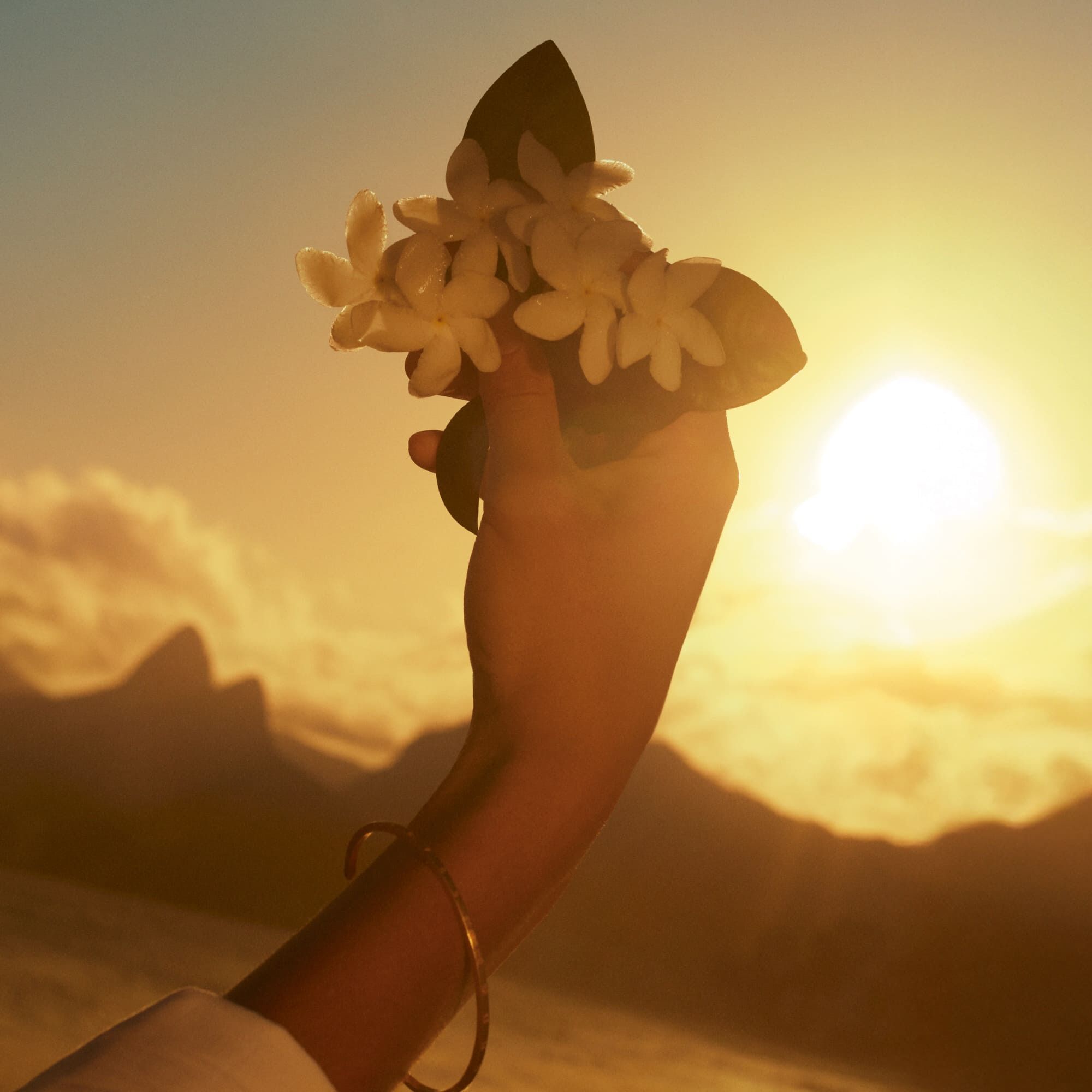 Tuberose