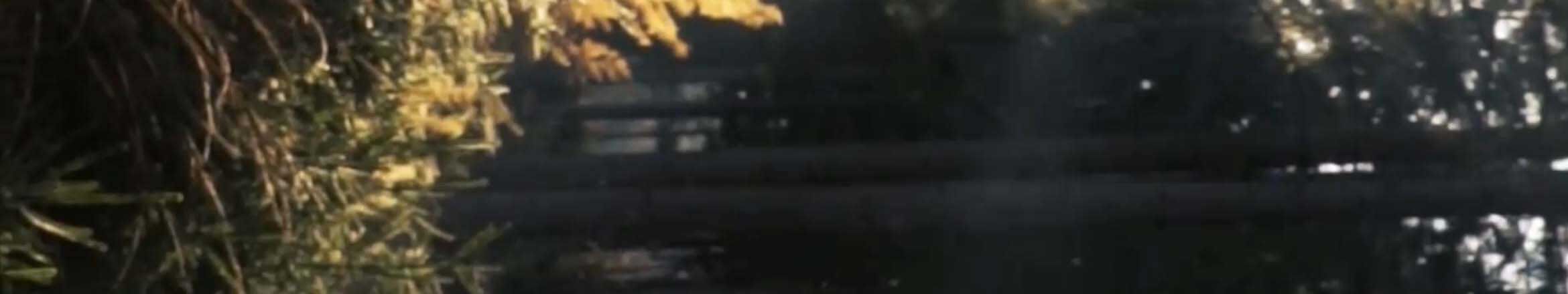 Earthy Addictive PLP Top Banner