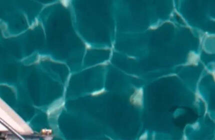 Sunny PLP Invigorating Top Banner