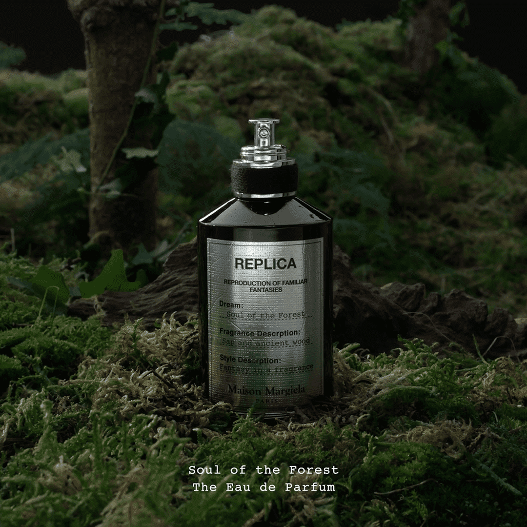Forest Image