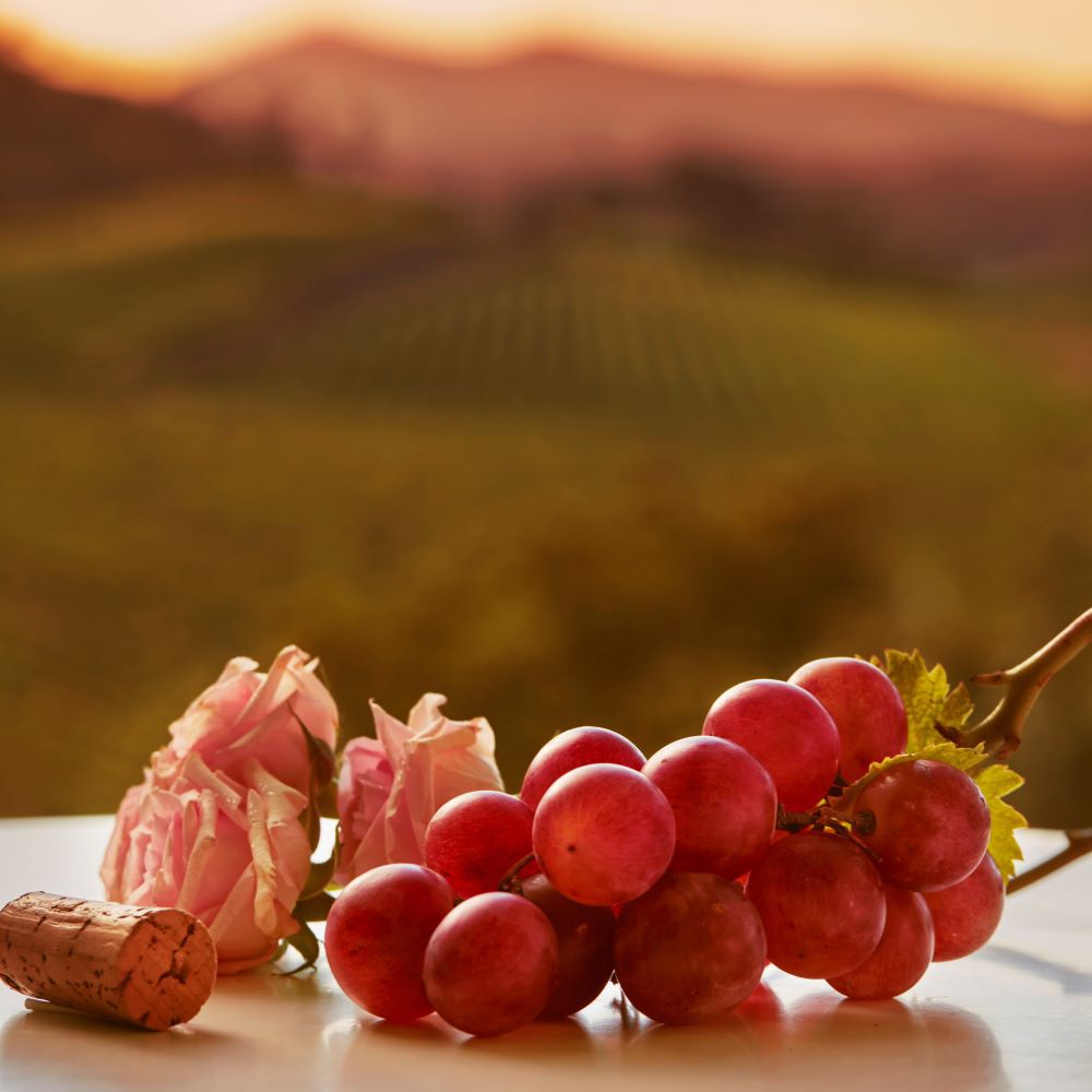 Product Content 1 image